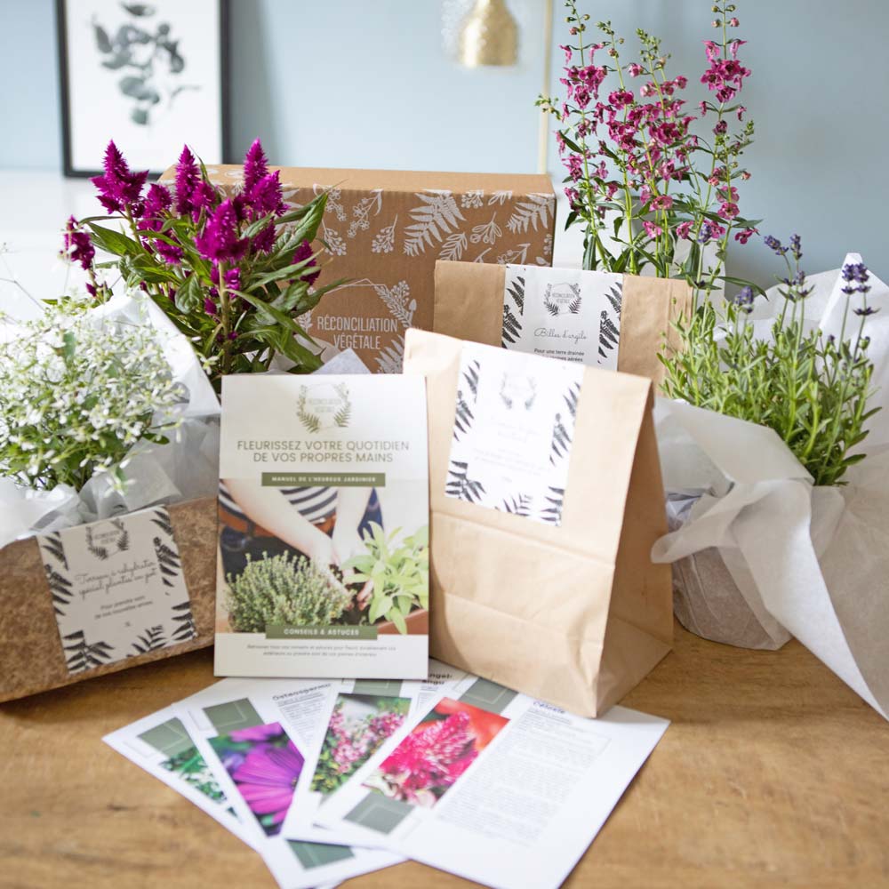 Kit de jardinage pour fleurir balcon