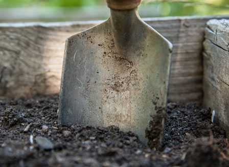7 gestes indispensables pour des plantes d'intérieur en bonne santé