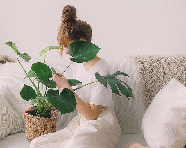 7 conseils d'entretien pour des plantes d'intérieur en bonne santé