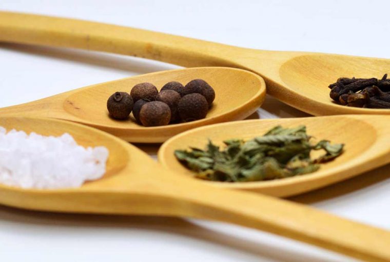 L'origan, herbe aromatique indispensable à cultiver au balcon pour tous les amoureux de cuisine italienne