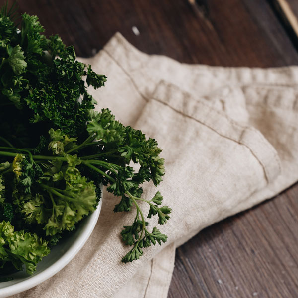 comment prendre soin persil frisé en pot ?