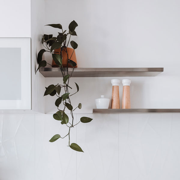 Comment réanimer une plante abîmée ?