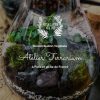 Atelier Terrarium paris et ile de France