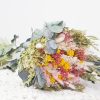 Madeleine, bouquet de fleurs séchées pour les attachantes
