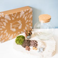 Kit terrarium complet