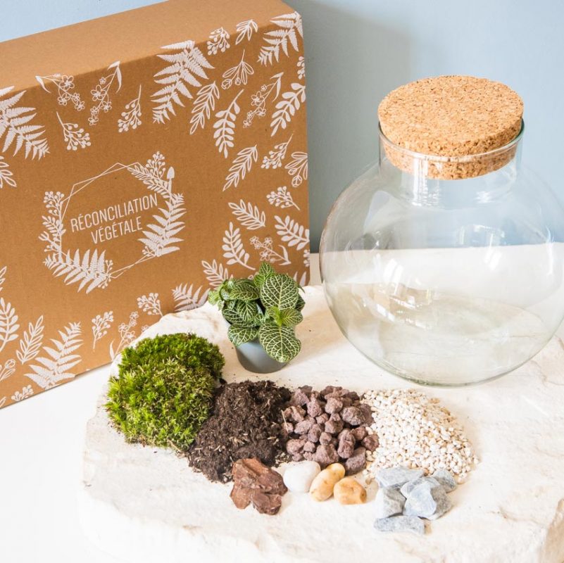 Kit DIY pour terrarium fermé