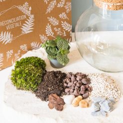Kit complet pour terrarium humide