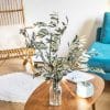 botte olivier provencal sec