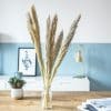 Bouquet de fleurs séchées miscanthus