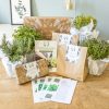 kit de jardinage plantes aromatiques