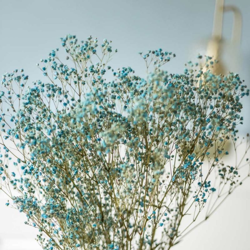 5x5 Gypsophile or - Grossiste Fleurs Sechees 5x5 Gypsophile or - Grossiste Fleurs Sechees