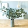 Bouquet de fleurs séchées eucalyptus