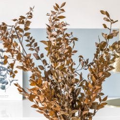 Bouquet de fleurs séchées ruscus marron