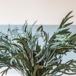 Bouquet de fleurs séchées Eucalyptus willow vert . Botte de 150g