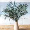 Bouquet de fleurs séchées Eucalyptus willow vert . Botte de 150g