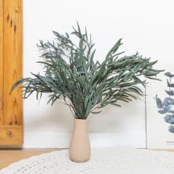 Bouquet de fleurs séchées Eucalyptus willow vert . Botte de 150g