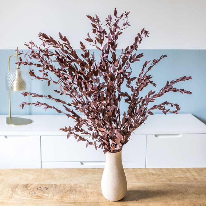Bouquet de fleurs séchées eucalyptus parvifolia rouge