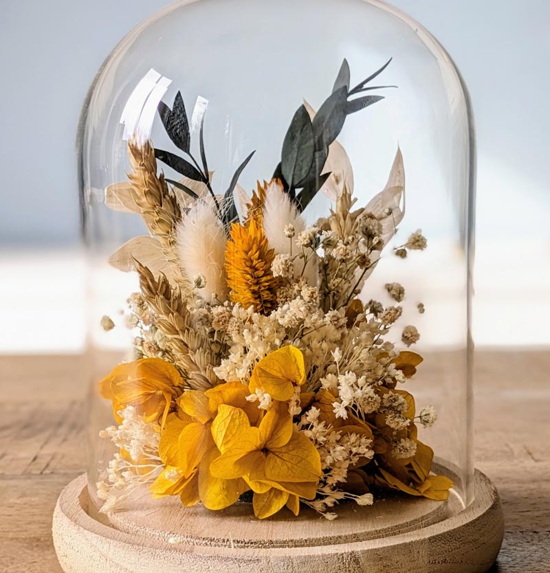 FLEURS séchées sous cloche jaune