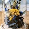 Cloche de fleurs séchées achillée jaune et hortensia bleu Angèle Vue Diagonale