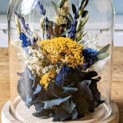 Cloche de fleurs séchées achillée jaune et hortensia bleu Angèle Vue Diagonale