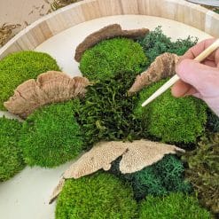 atelier cadre mousse stabil