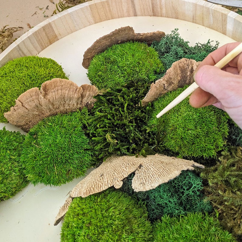 Tableau végétal en mousse stabilisée