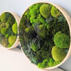 tableau végétal rond lot de 2 thème canopé