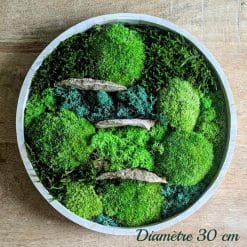 d30 tableau végétal naturel stabilisé rond