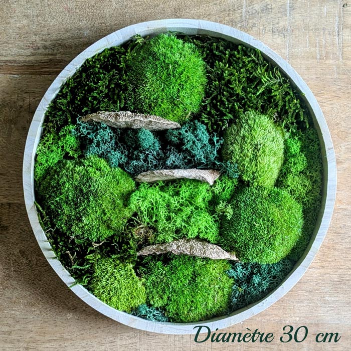 d30 tableau végétal naturel stabilisé rond