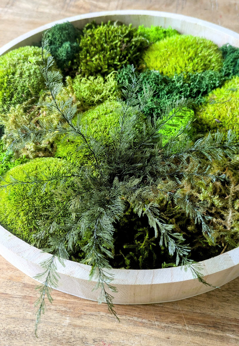 d30 zoom tableau vegetal