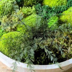 tableau végétal rond lot de 2 zoom sur mousse et fougère