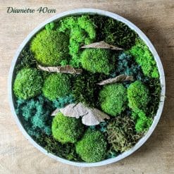 d40 tableau végétal stabilisé mousse naturelle