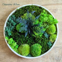 tableau végétal rond lot de 2 D40 Fougère et mousse stabilisée