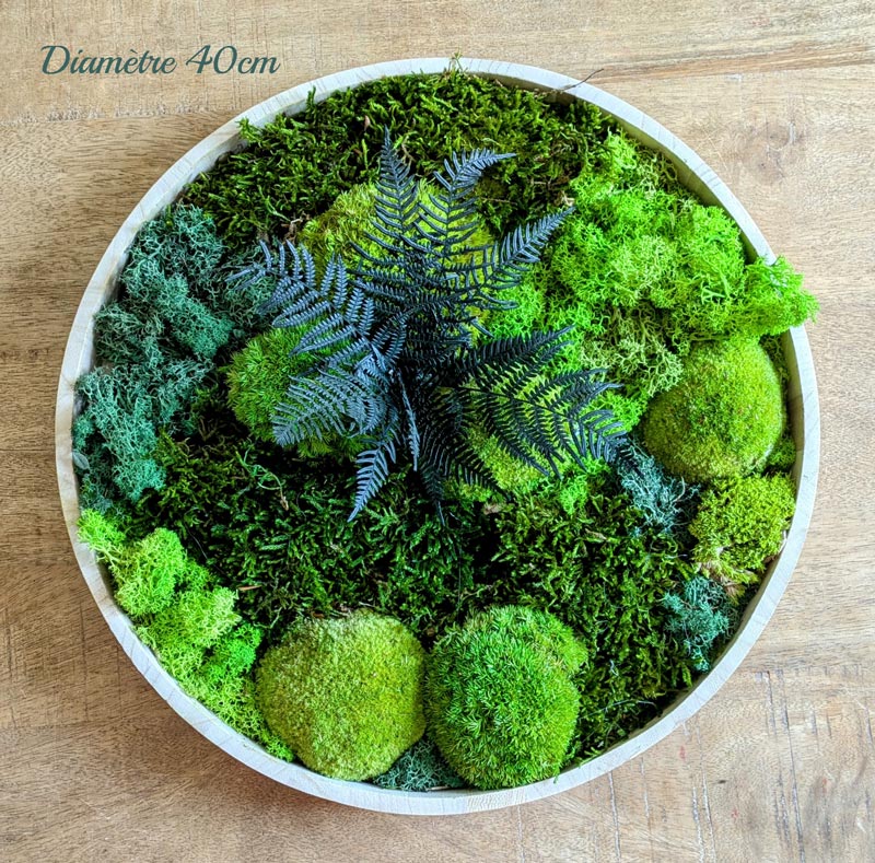 tableau végétal rond lot de 2 D40 Fougère et mousse stabilisée