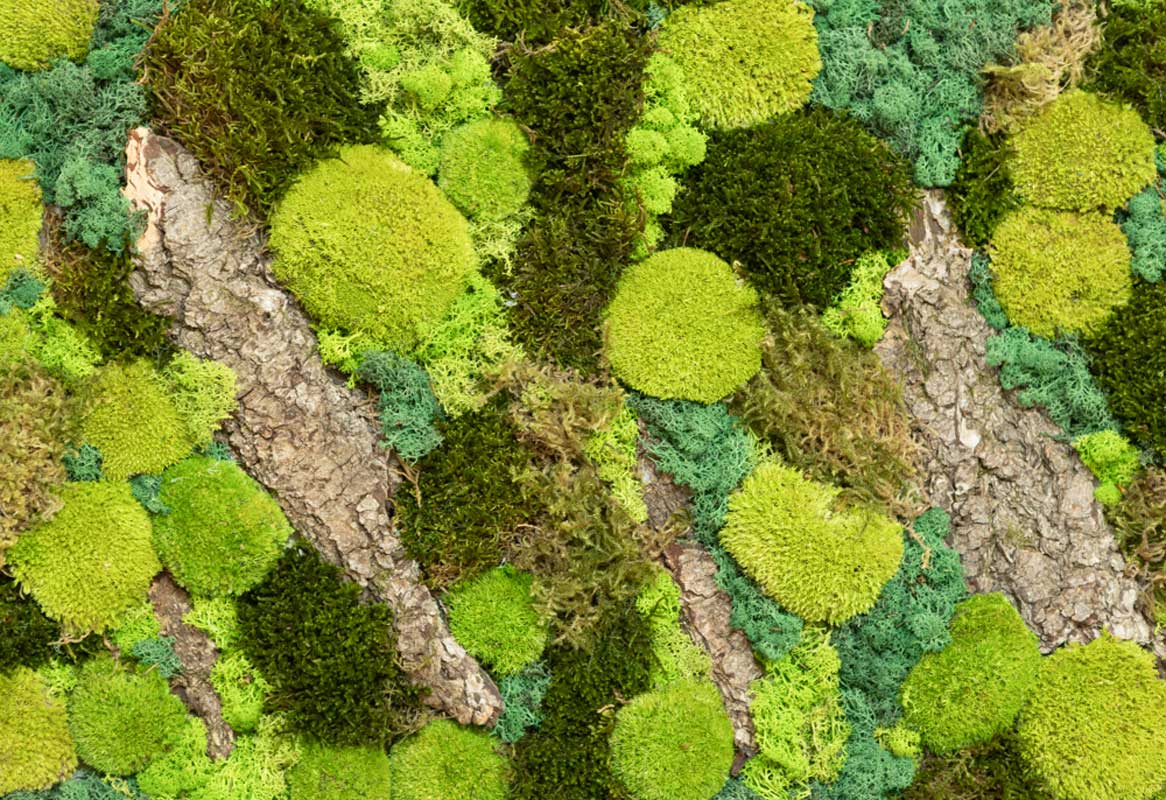 tableau végétal naturel stabilisé rectangulaire thème forest