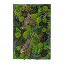 tableau végétal naturel stabilisé rectangulaire thème forest