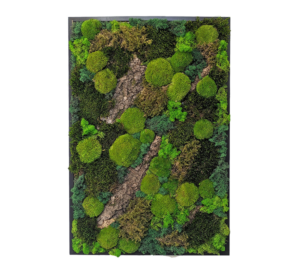 tableau végétal naturel stabilisé rectangulaire thème forest