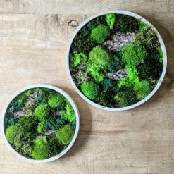 tableau végétal rond naturel mousse stabilisée et écorce