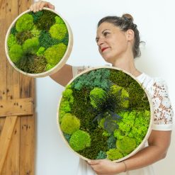 tableau végétal rond lot de 2 portés