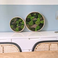 tableau végétal rond lot de 2 thème canopé