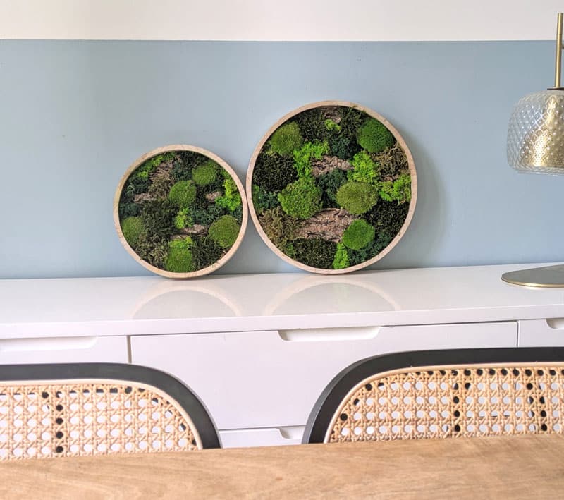 tableau végétal rond lot de 2 thème canopé