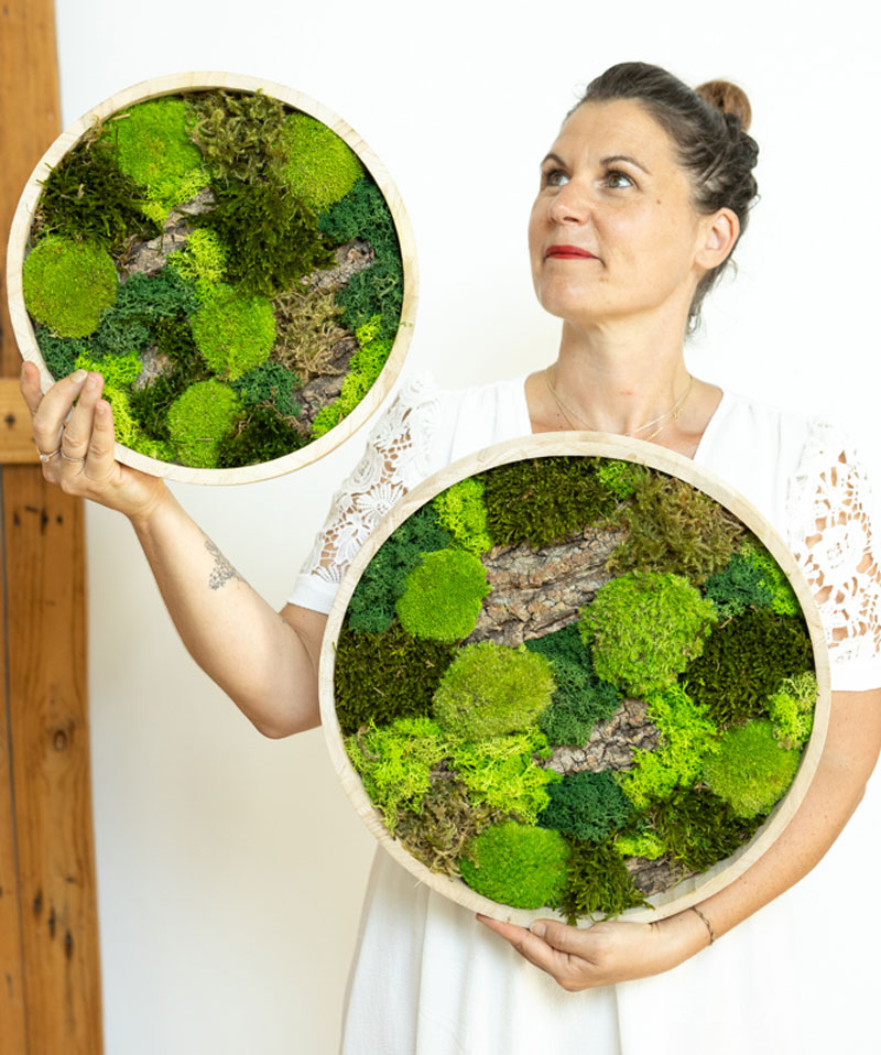 tableau végétal 100% naturel rond lot de 2 thème sous bois