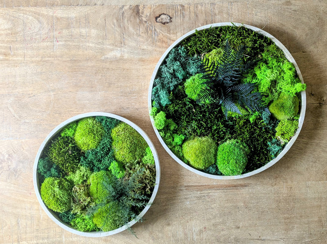 tableau végétal rond lot de 2 thème canopé