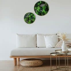 tableau végétal rond lot de 2 thème canopé