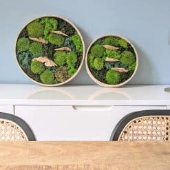 tableau végétal champignon mousse stabilisé