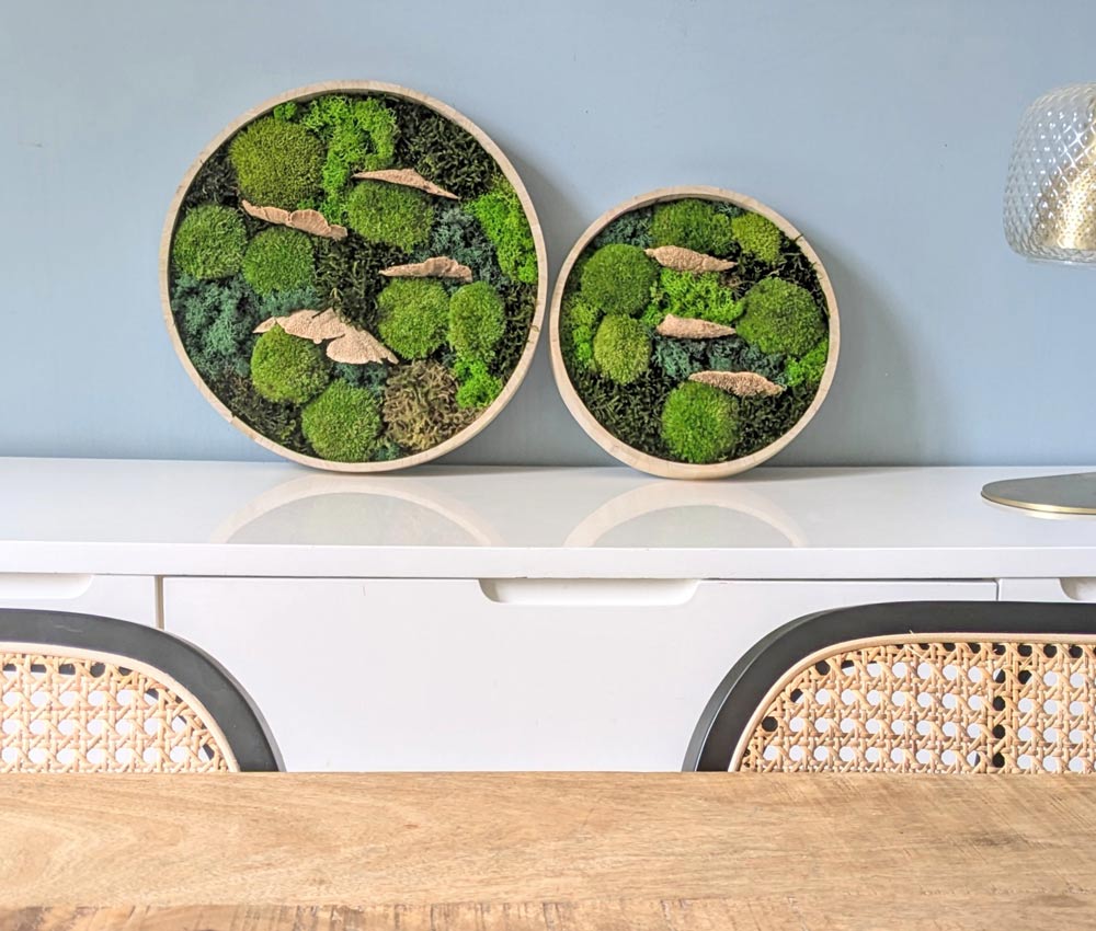 tableau végétal champignon mousse stabilisé