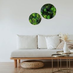 tableau végétal rond lot de 2 thème canopé. fond blanc
