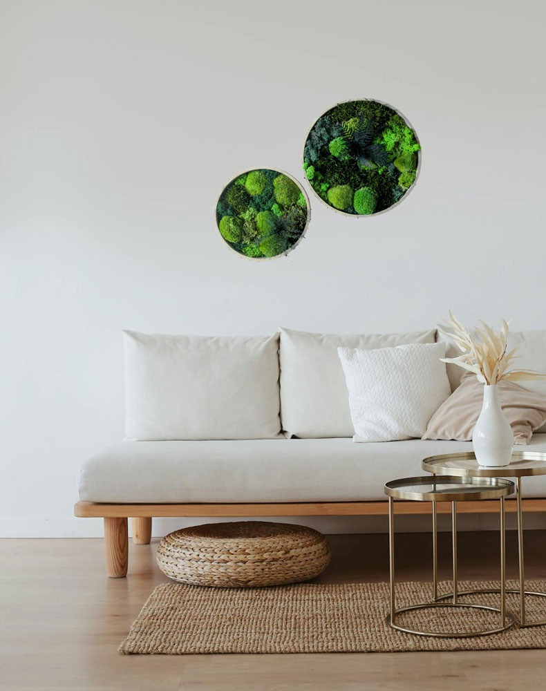 tableau végétal rond lot de 2 thème canopé. fond blanc