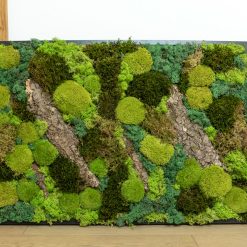 tableau végétal naturel stabilisé rectangulaire thème forest