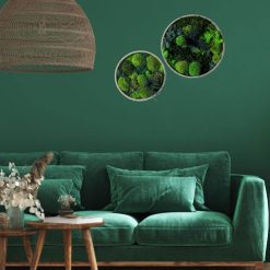 tableau végétal rond lot de 2 thème canopé fond vert